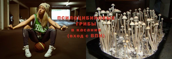 ГАЛЛЮЦИНОГЕННЫЕ ГРИБЫ Заводоуковск