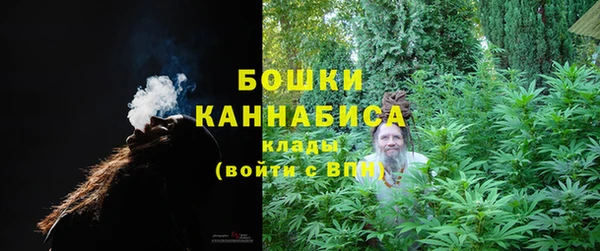 ГАЛЛЮЦИНОГЕННЫЕ ГРИБЫ Заводоуковск