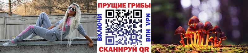 кракен маркетплейс  Нефтегорск  Галлюциногенные грибы ЛСД  закладка 